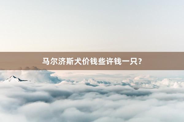 马尔济斯犬价钱些许钱一只?