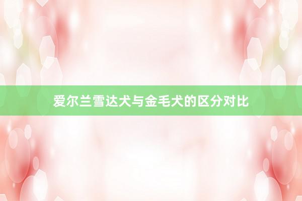 爱尔兰雪达犬与金毛犬的区分对比